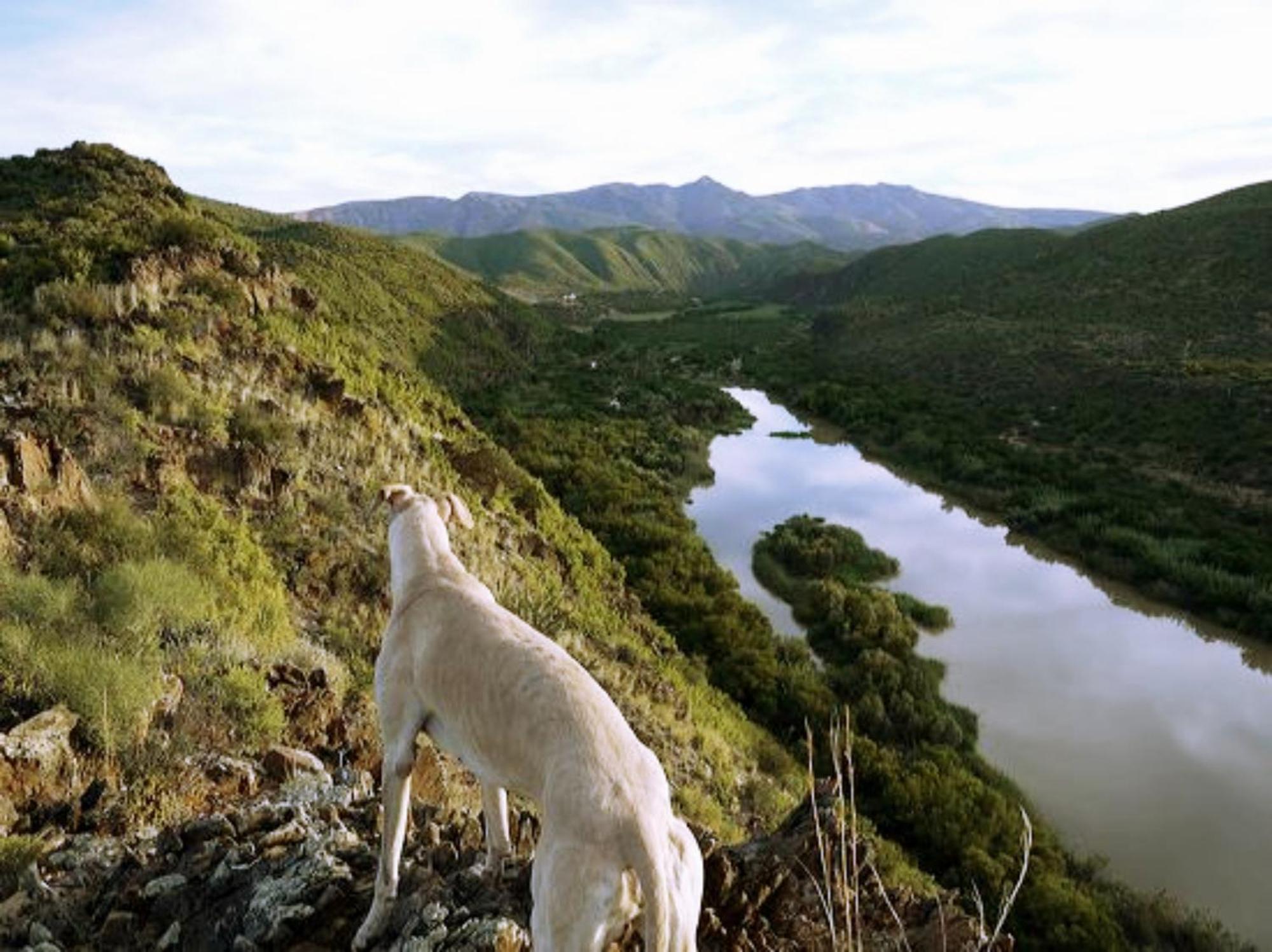 River View Cottages Calitzdorp Kültér fotó